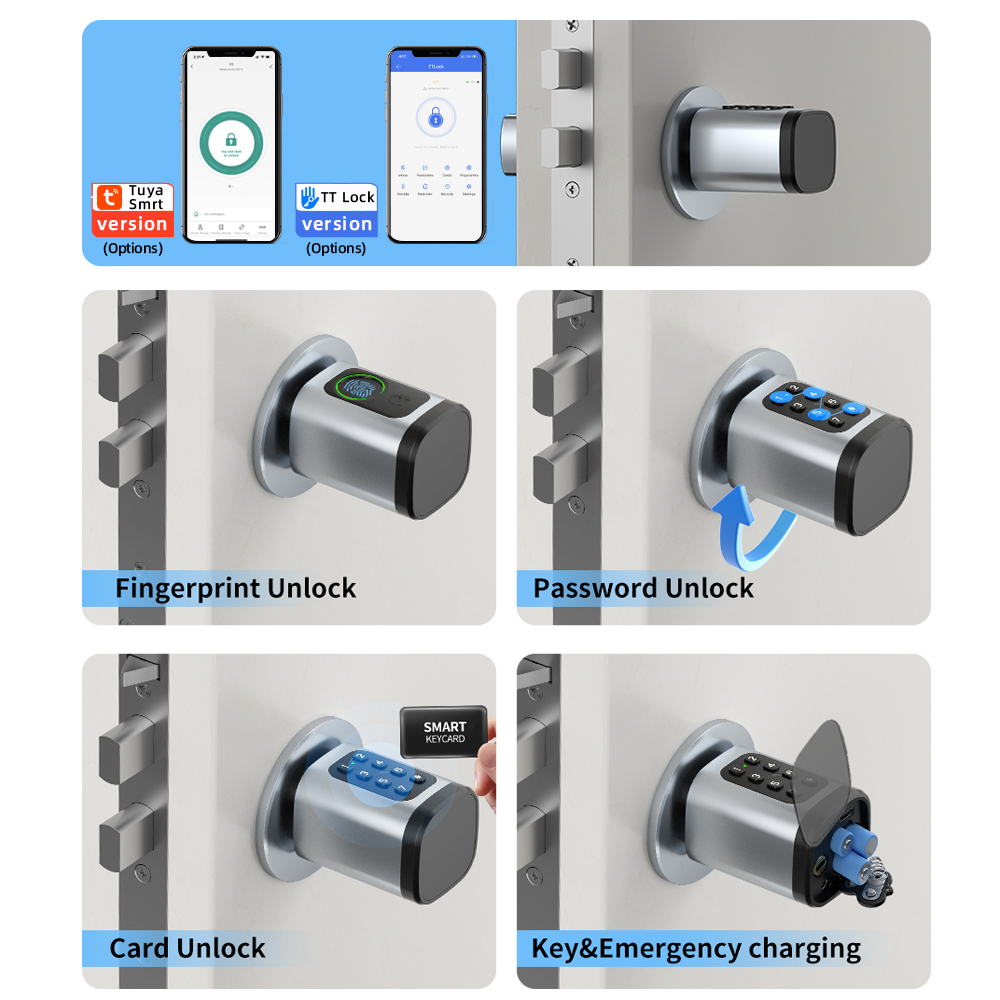 RAYKUBE V1 Tuya BLE TT serrure - Diy Waterproof Electronics avis et prix